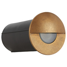 Iker Brass & Glass LED Step Light